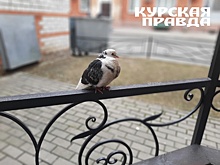 В Курской области 4 апреля ожидаются дожди до 12 градусов тепла