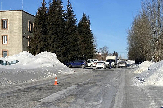 Пенсионерку сбили насмерть под Новосибирском: пьяный подозреваемый задержан