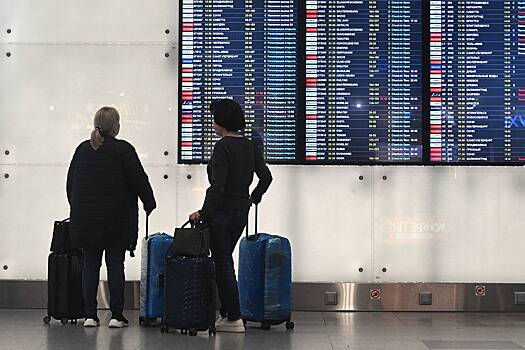 В аэропортах Москвы произошла массовая отмена и задержка рейсов