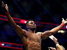 Гонорары бойцов PFL, сколько зарабатывают бойцы MMA, Фрэнсис Нганну, Дана Уайт, UFC