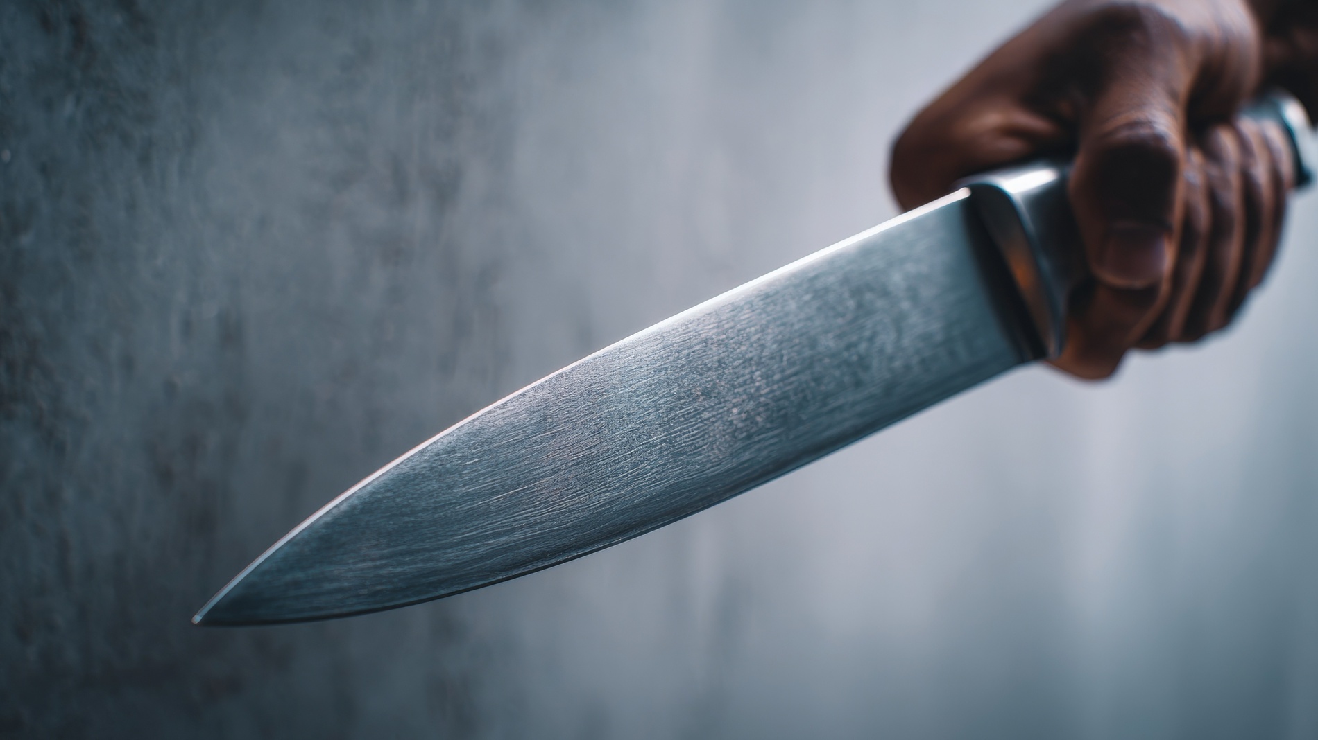 �����������&nbsp; ���������� ������� � ������ � ���� ��������