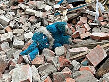 Волонтер «Лизы Алерт» рассказала о ночных поисках пропавшего ребенка