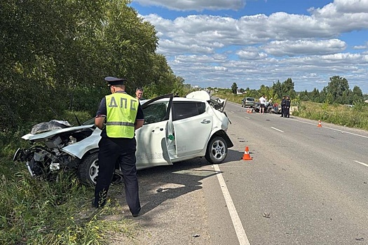 В массовом ДТП в Каменске-Уральском погиб человек