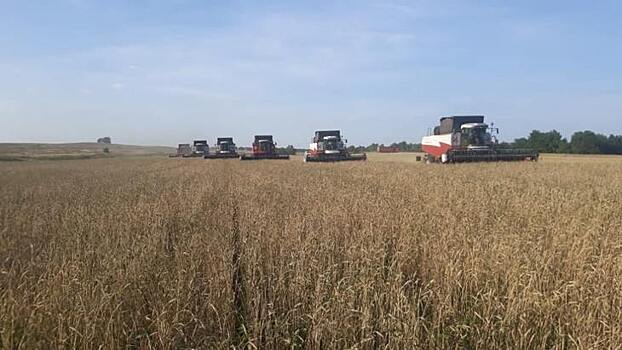 1 сентября российские аграрии встретили богатым урожаем зерна