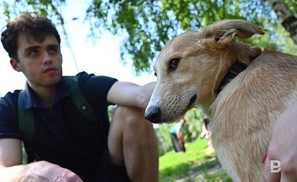 За полгода из казанского приюта "Зооцентр" забрали более 100 щенков