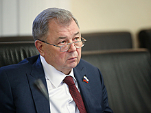 Сенатор предложил оценить все последствия от введения цифрового рубля