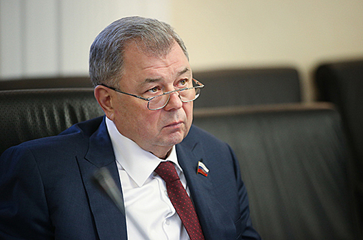 Сенатор предложил оценить все последствия от введения цифрового рубля