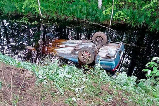 Томские полицейские нашли в болоте автомобиль с пятью погибшими мужчинами