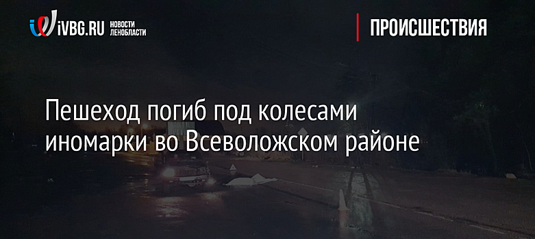 Пешеход погиб под колесами иномарки во Всеволожском районе