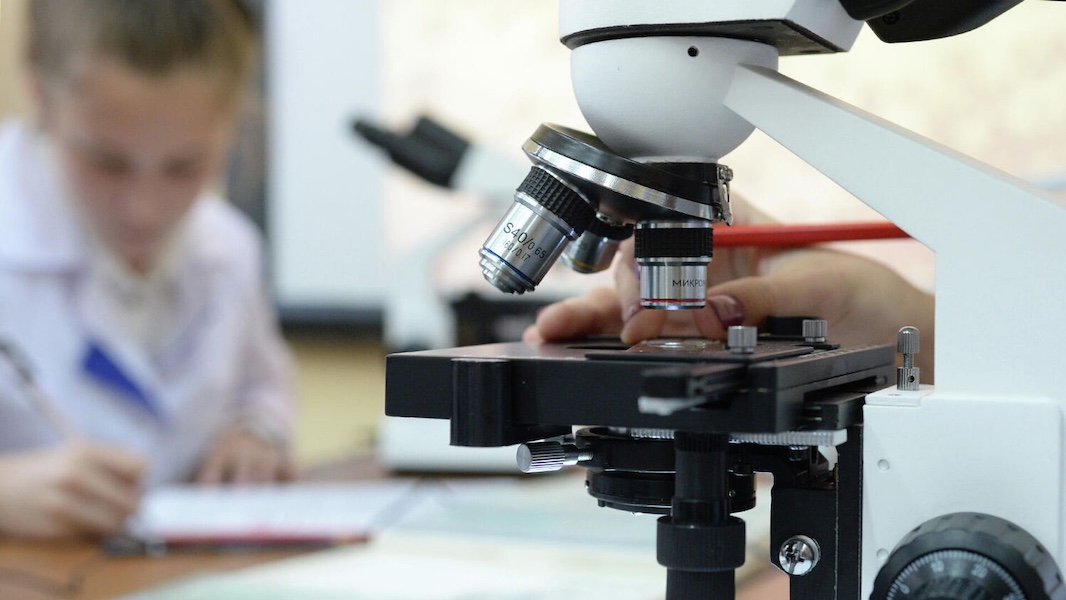 В Новосибирске исследовали ткани мамонтов возрастом 28 тыс. лет