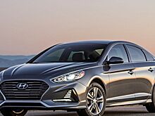 В 2020 году в России сократились продажи D-сегмента