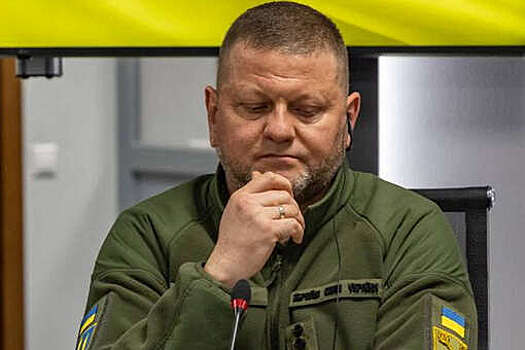 Экс-замминистра обороны Украины Маляр допустила прослушку Залужного властями