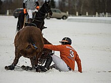 Команды из России и Швейцарии приняли участие в Moscow Snow Polo Cup