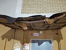 Козырек спас жизнь