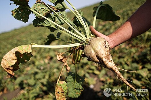 Nature (Великобритания): Россия включается в глобальную гонку в области генного редактирования