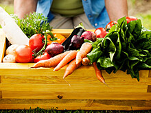 Диетолог рассказал, какие продукты помогут легче переносить жару