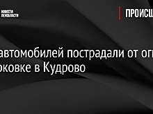 Семь автомобилей пострадали от огня на парковке в Кудрово