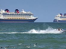 На борту элитного круизного лайнера заразились 134 пассажира