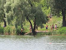 На водоёмах области погибли 12 курян