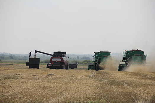 Торги по продаже сельхозземли в Можайском горокруге перенесли на конец августа