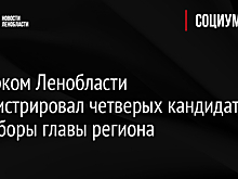 Избирком Ленобласти зарегистрировал четверых кандидатов на выборы главы региона