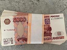 Рязанская область получит полмиллиарда рублей на обновление общественного транспорта и коммунальную технику