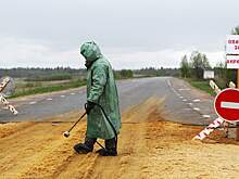 Хорошо забытые старые: почему возвращаются опасные инфекции