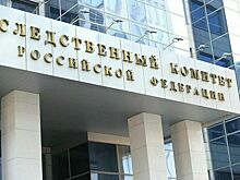 СК возбудит дело после захвата мигрантами спортплощадки в Подмосковье