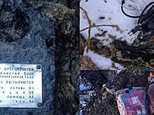 Из канализации Воронежа коммунальщики извлекли советский таксофон