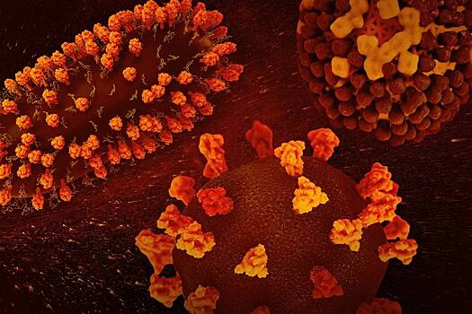 Разработаны искусственные вирусы для встраивания генов