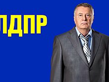 ЛДПР – партия простых людей. Выбирай тех, кто будет биться за тебя!