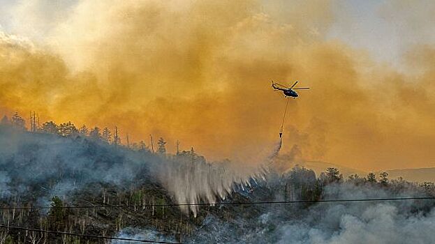 Экологи предупредили о риске лесных пожаров в Сибири из-за жары