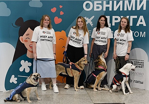 В аэропорту Домодедово прошла акция «Обними друга перед полетом»