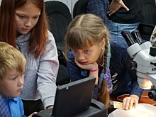 Вологжане попробовали себя в роли кассира и эксперта по определению подлинности денег