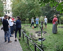 Петербургские активисты высадили деревья и кустарники во дворе на Васильевском острове