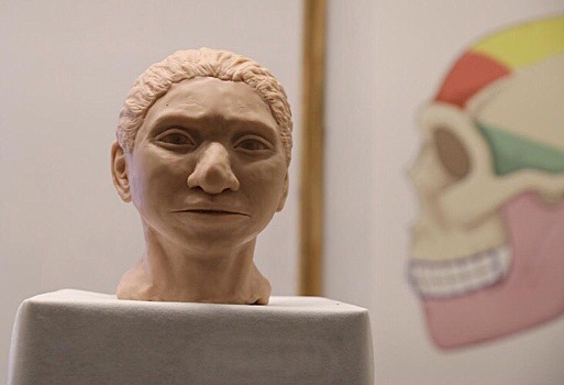 Ученые воссоздали облик денисовца с помощью ДНК