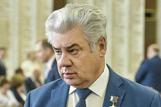 Сенатор Бондарев считает, что Париж надеется на приостановку конфликта в Киеве