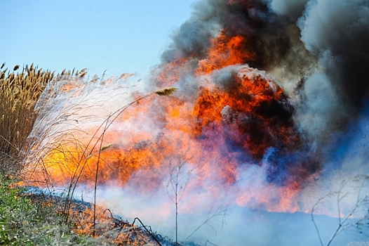 Волгоградцам рассказали о профилактике пожаров в весенне-летний период