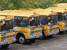 Двенадцать тысяч автобусов закупили для российских школ за шесть лет