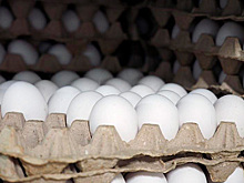 Минсельхоз назвал причину изменения цен на яйца и птицу