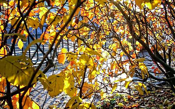 Как пережить предшкольный апокалипсис на дорогах