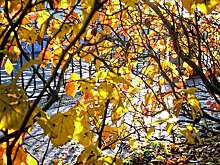 Как пережить предшкольный апокалипсис на дорогах