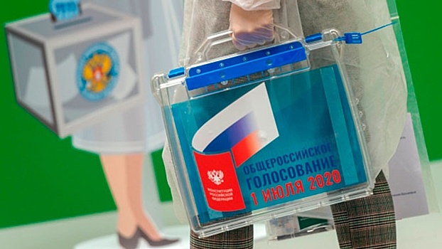 В Москве разъяснили правила электронного голосования по поправкам в конституцию