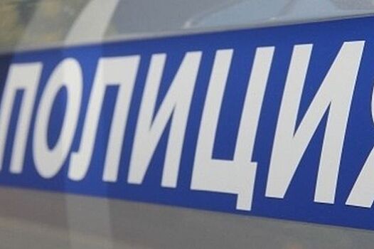 В Ермишинском районе водитель погиб, влетев на иномарке в дерево