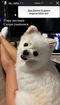 Русская девушка Джонни Деппа, вернувшаяся в Россию, раскрыла, поддерживает ли с ним связь