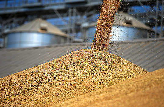 Reuters: Россия и Индия ведут переговоры о поставках зерна со скидкой