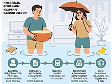 Что делать при затоплении квартиры: пошаговый план, права, компенсация