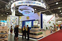 На Ставрополье собираются увеличить количество компаний-экспортеров