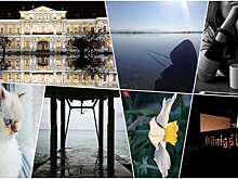 #Галерея: На что способна камера вашего iPhone