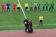 Матч российского чемпионата открыл медведь